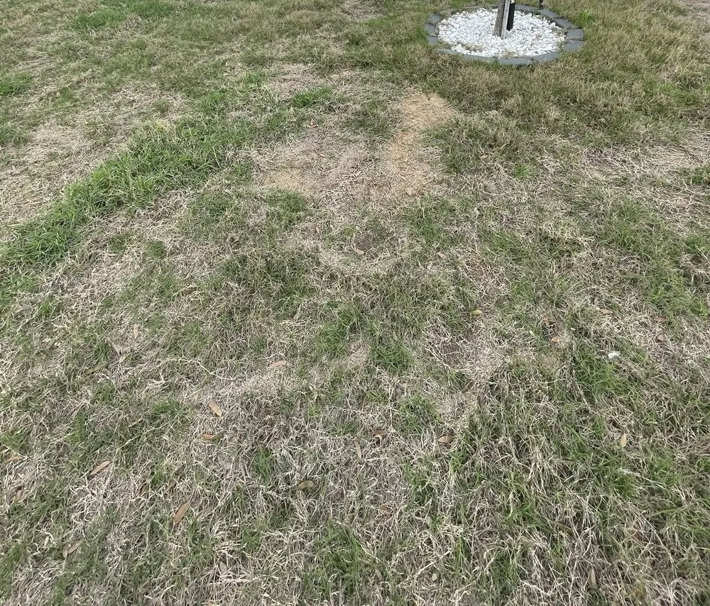 Trusted landscaping services for outdoor upgrades across Uhland, TX - Q Landscape