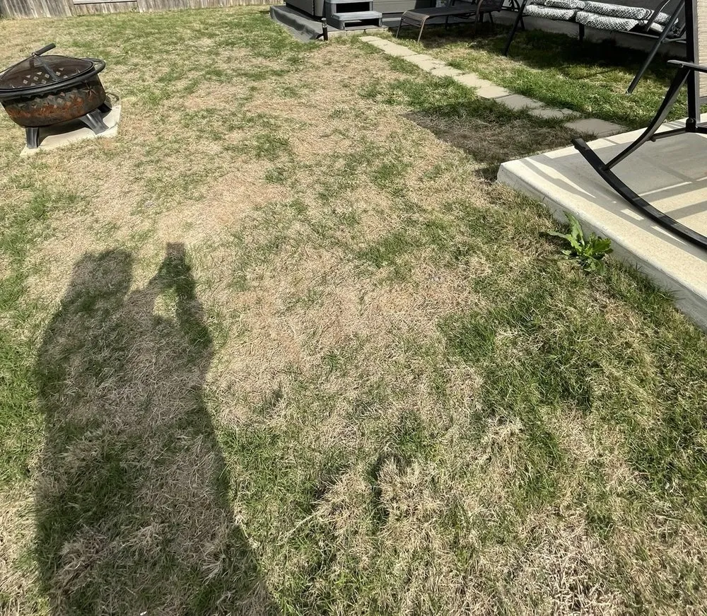 Trusted lawn care service experts serving Uhland, TX - Q Landscape