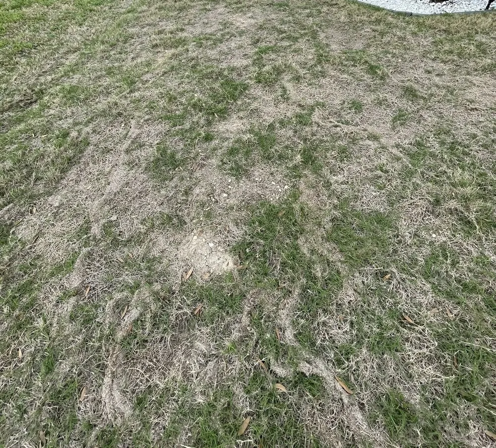 Local outdoor landscaping in Uhland, TX by Q Landscape