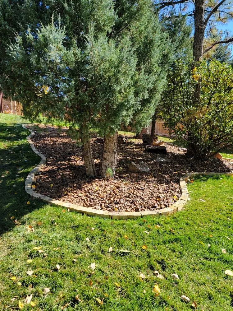 Trusted landscape design with custom design in Cheyenne, WY by Q Lawn