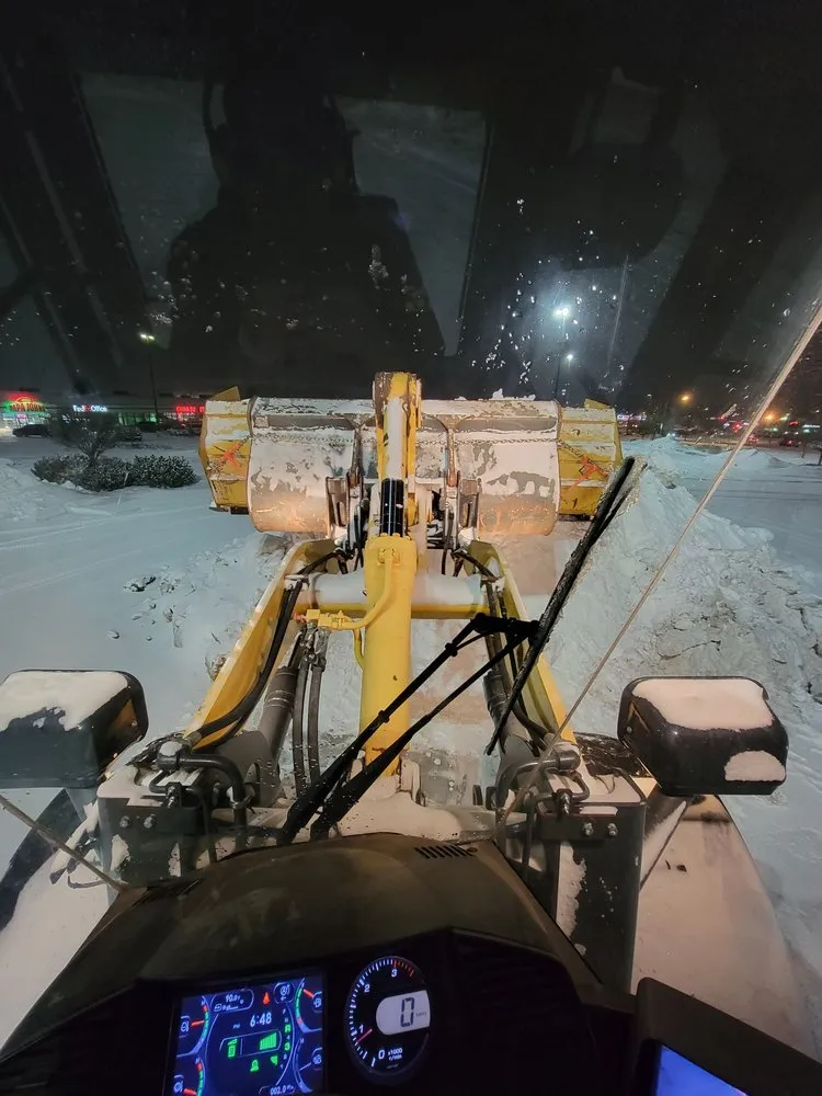 Expert yard cleanup service in Cheyenne, WY - Q Lawn