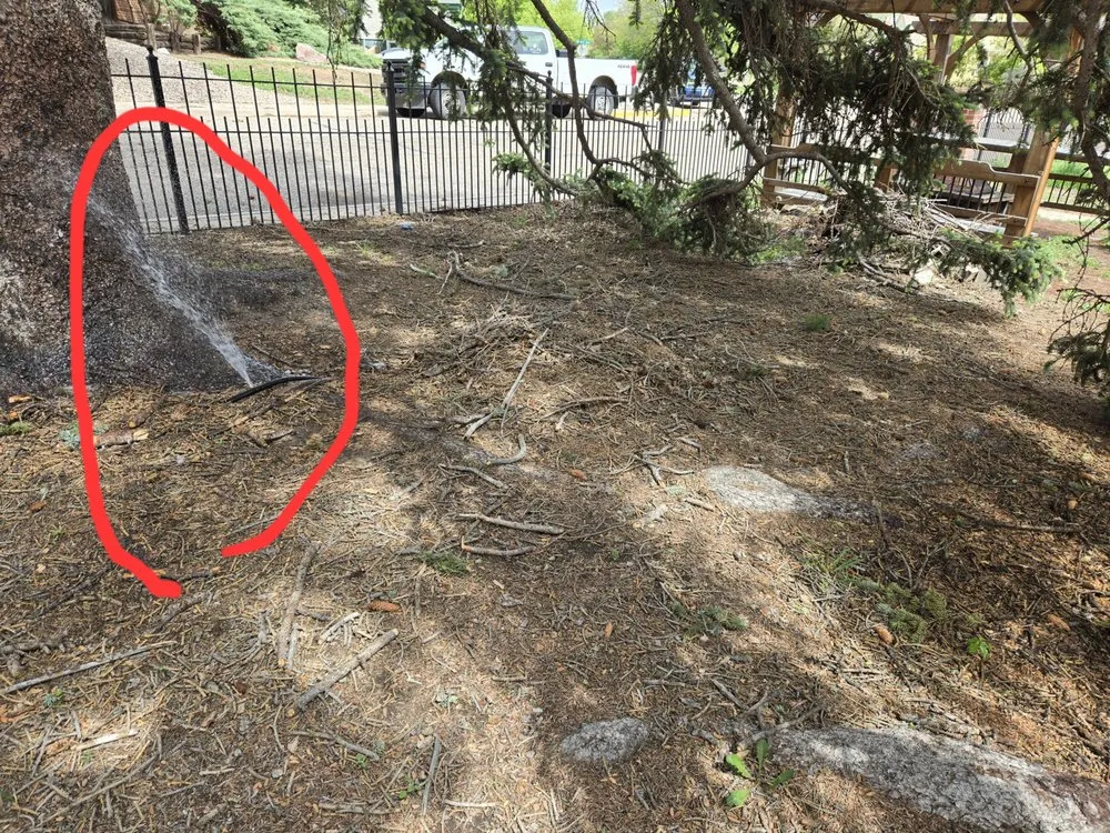 Affordable landscape installation near you in Cheyenne, WY by Q Lawn