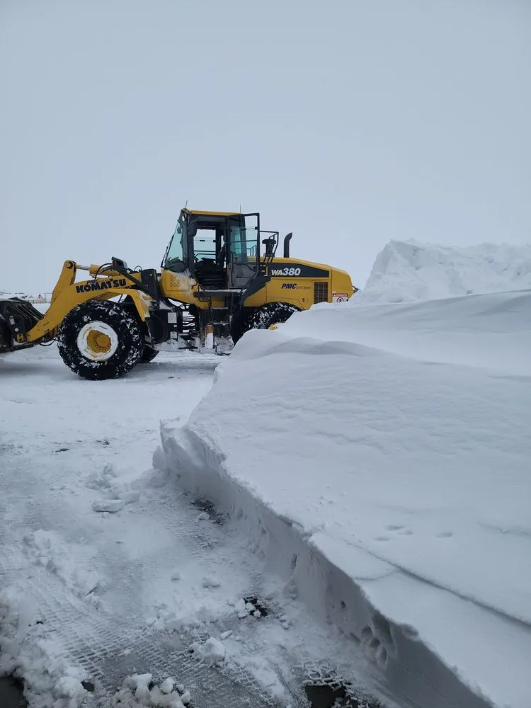 Expert yard maintenance in Cheyenne, WY by Q Lawn