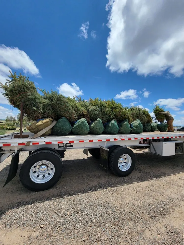 Trusted yard maintenance with custom design in Cheyenne, WY by Q Lawn