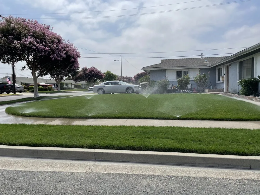 Local yard maintenance in Anaheim, CA by Q1services