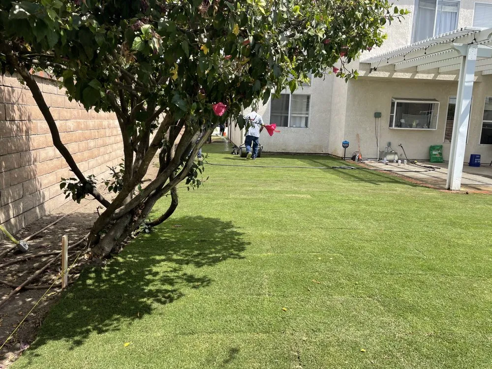 Reliable yard maintenance near you in Anaheim, CA by Q1services