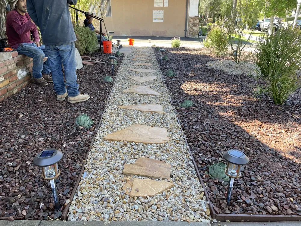 Local yard cleanup service in Anaheim, CA by Q1services