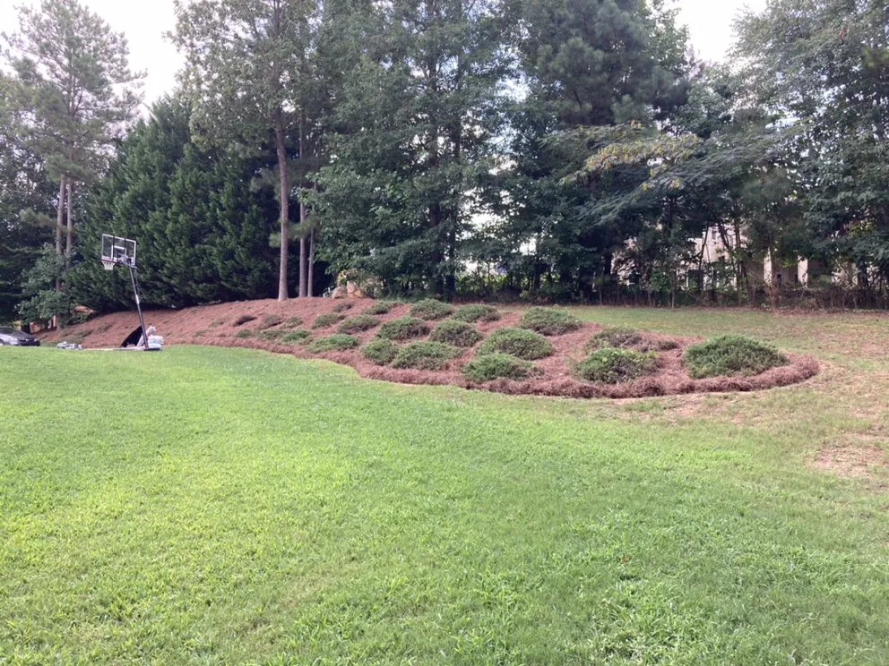 Local outdoor landscaping experts serving Fairburn, GA - Q&A Lawn Solutions