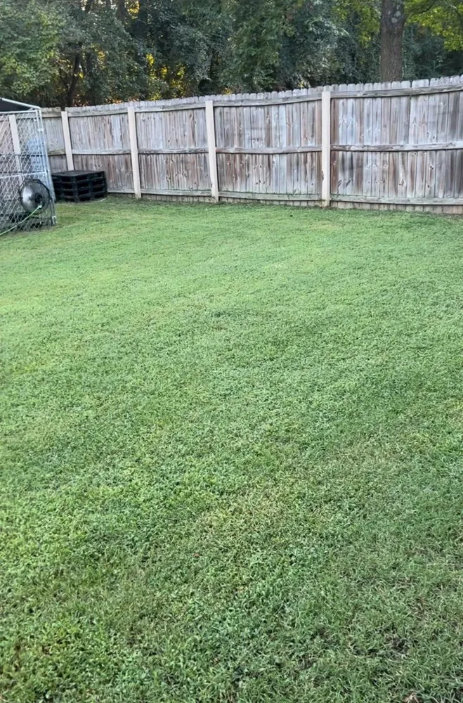 Affordable residential landscaping for beautiful yards across Fayetteville, NC - Qadash Vybez Landscaping