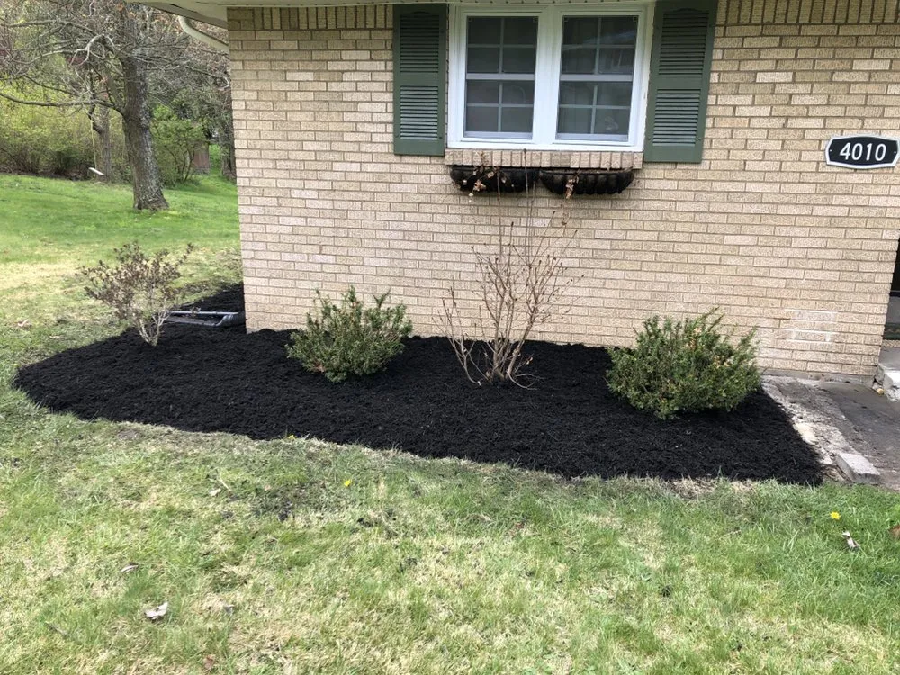 Top-rated lawn mowing service for year-round maintenance in Pittsburgh, PA by Q&B Lawn care