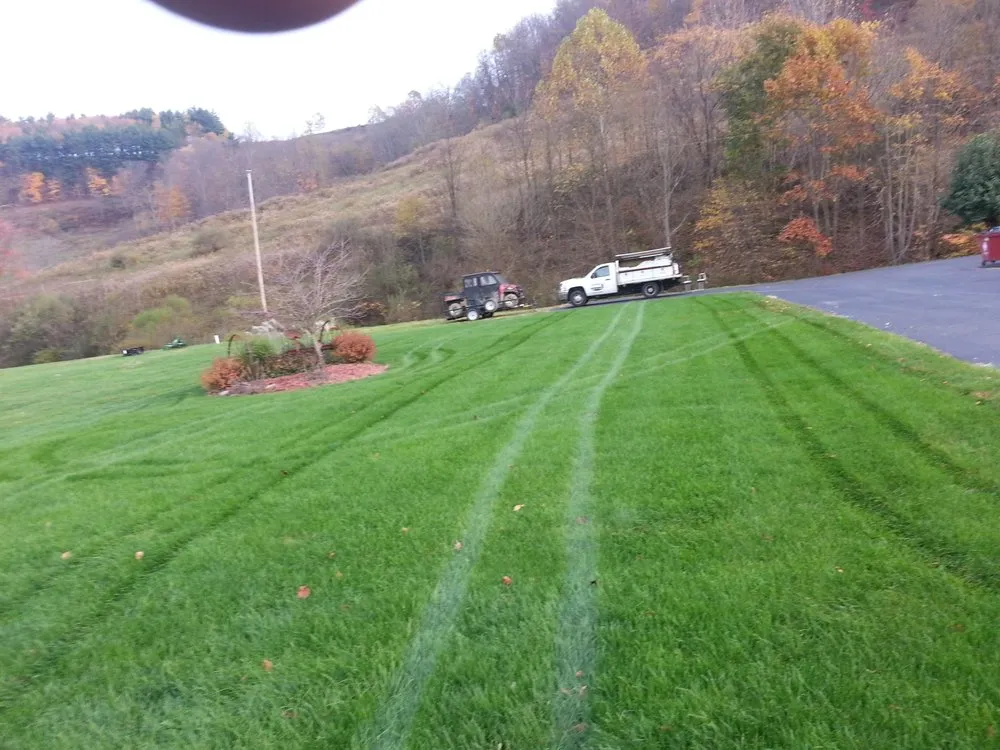 Expert landscape design in Burton, WV by QBC Express Grass