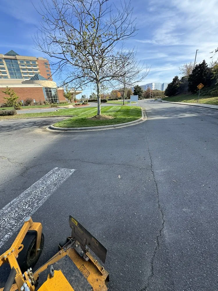 Top-rated landscape installation in Concord, NC by QC lawn services