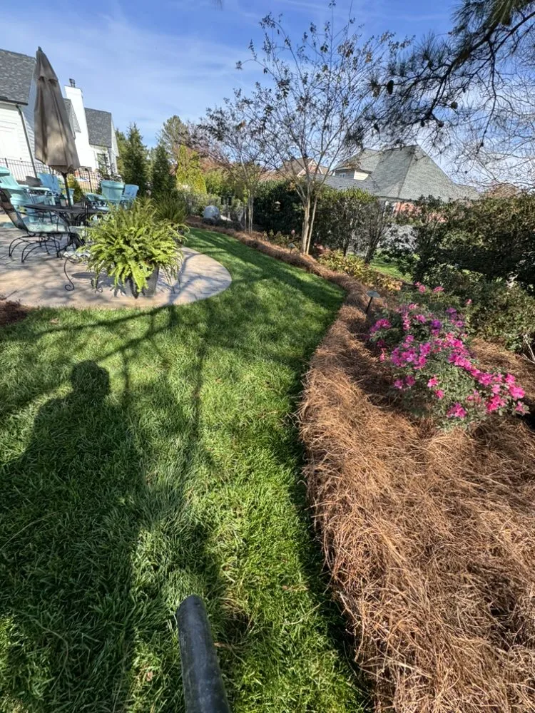 Affordable lawn mowing service in Concord, NC by QC lawn services