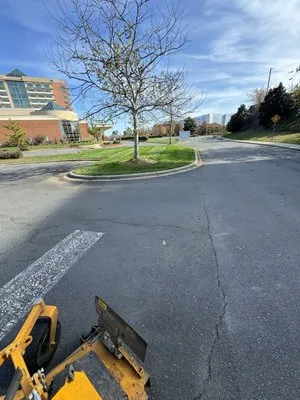 QC lawn services Logo