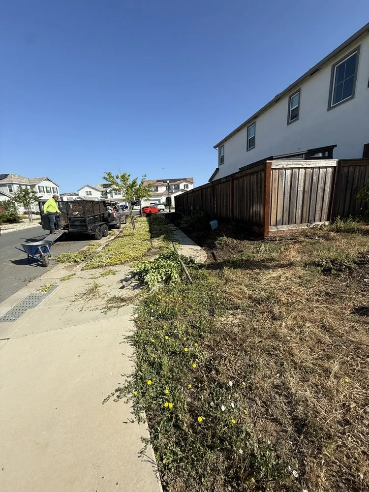 Local lawn mowing service near you across Elk Grove, CA - QD LANDSCAPING