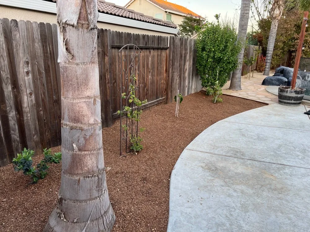 Professional yard maintenance experts serving Elk Grove, CA - QD LANDSCAPING