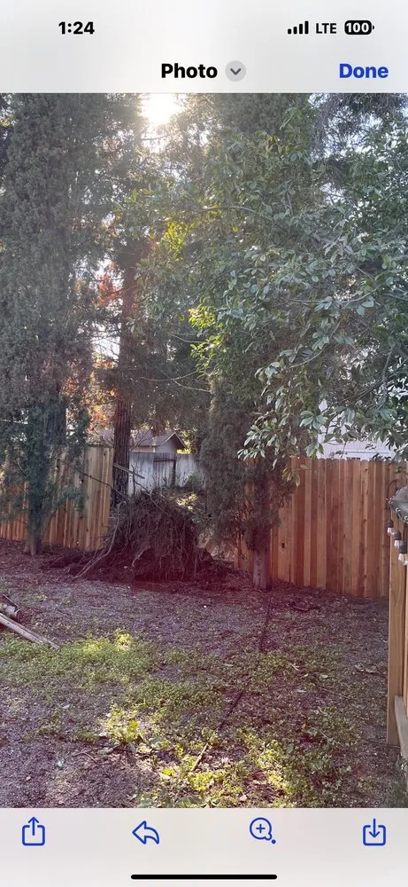 Trusted yard maintenance for outdoor upgrades in Elk Grove, CA by QD LANDSCAPING