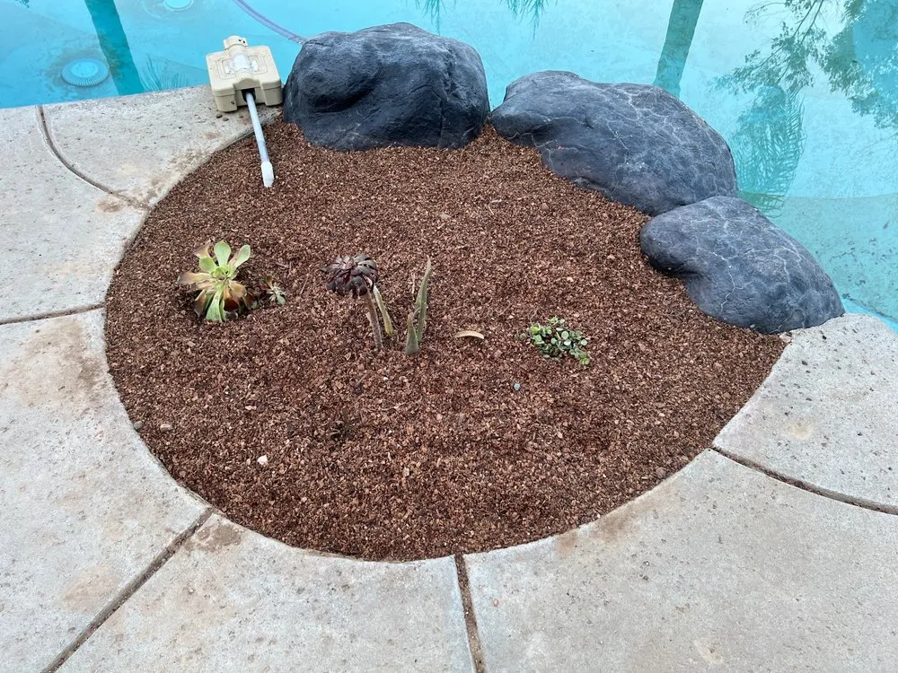 Top-rated yard maintenance in Elk Grove, CA - QD LANDSCAPING