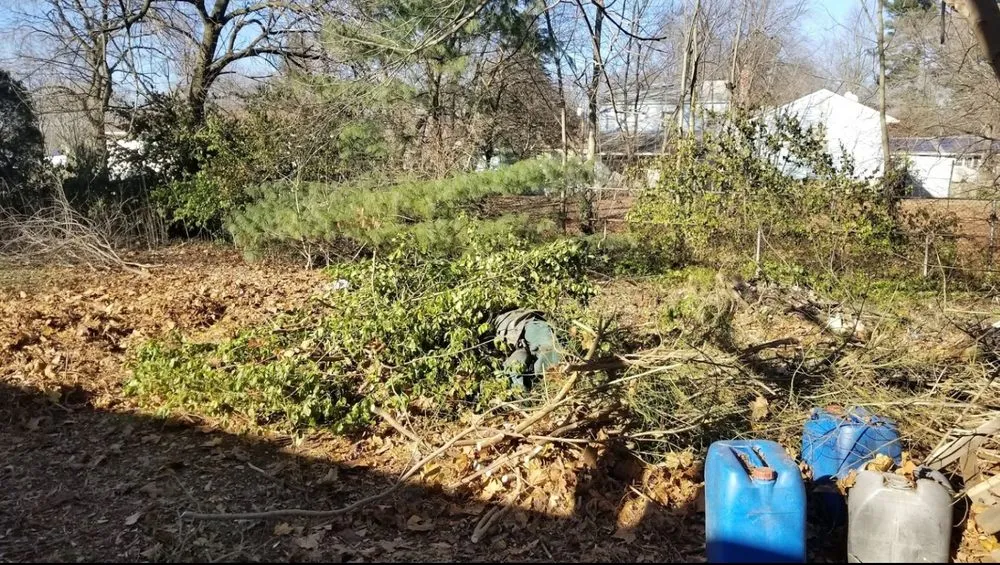 Affordable outdoor landscaping in South Brunswick Township, NJ - QEN Landscaping