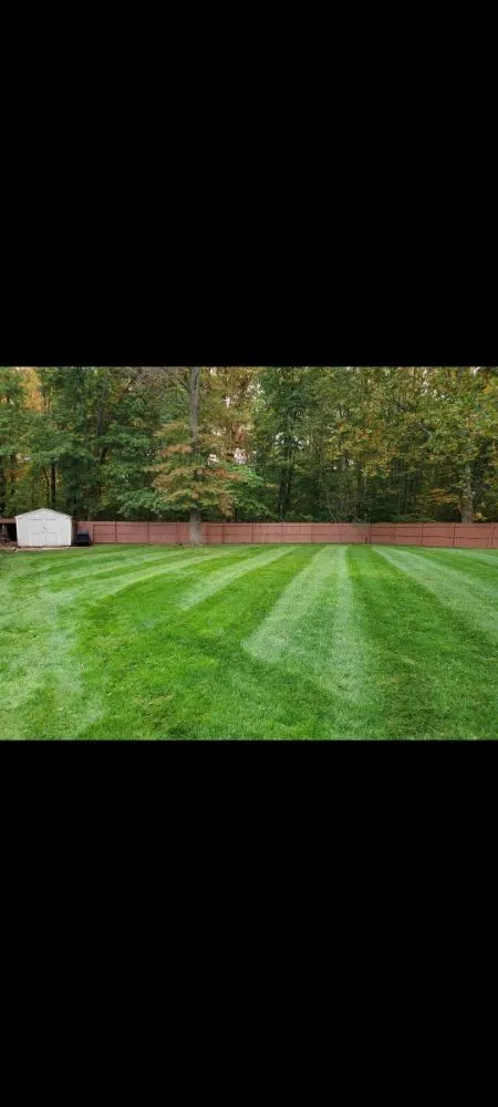 Trusted lawn care service near you in South Brunswick Township, NJ by QEN Landscaping