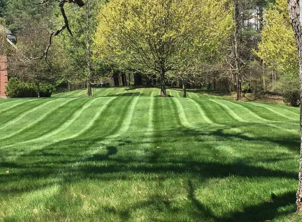 Professional yard maintenance for outdoor upgrades in South Brunswick Township, NJ by QEN Landscaping