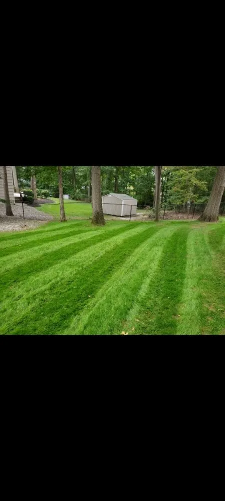 Expert garden landscaping in South Brunswick Township, NJ - QEN Landscaping