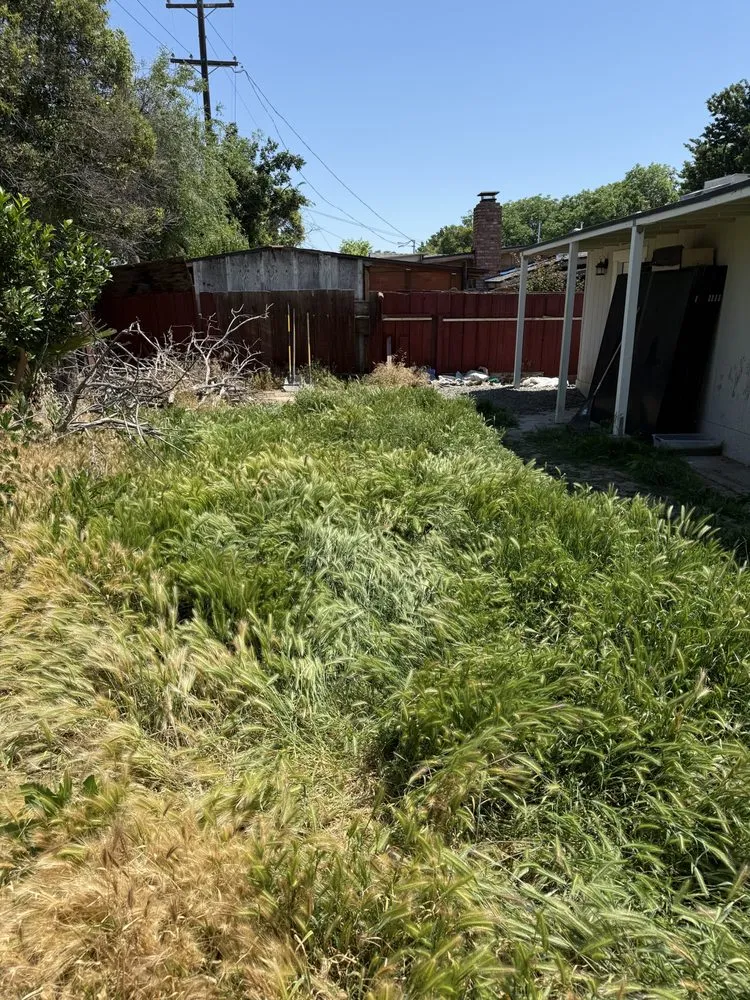 Trusted landscape design for outdoor upgrades in Ceres, CA by Q&F Junk Removal & Gardening Services