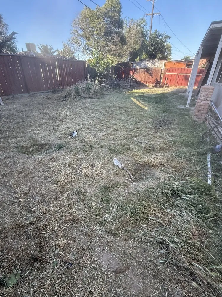 Trusted yard cleanup service in Ceres, CA by Q&F Junk Removal & Gardening Services