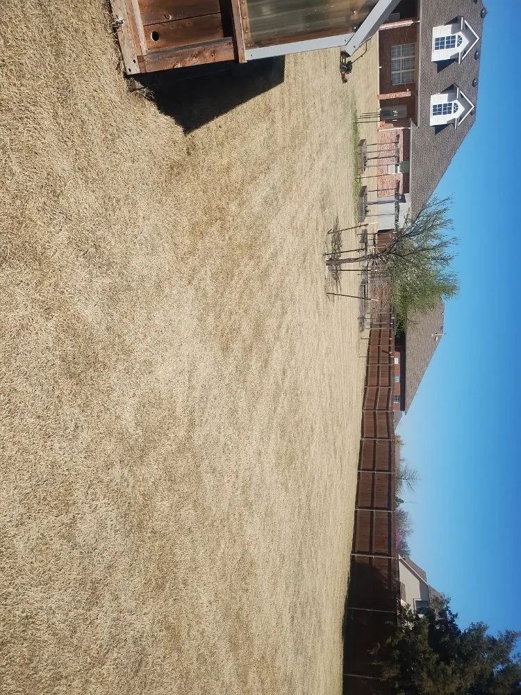 Affordable residential landscaping experts serving Oklahoma City, OK - Q&G Landscaping & Painting