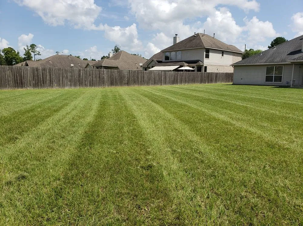 Affordable landscape design for year-round maintenance in Conroe, TX by QHR Lawn Care & Landscaping