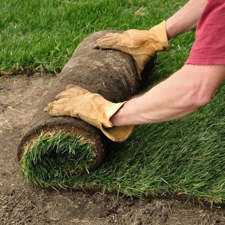 Affordable garden landscaping in Conroe, TX - QHR Lawn Care & Landscaping