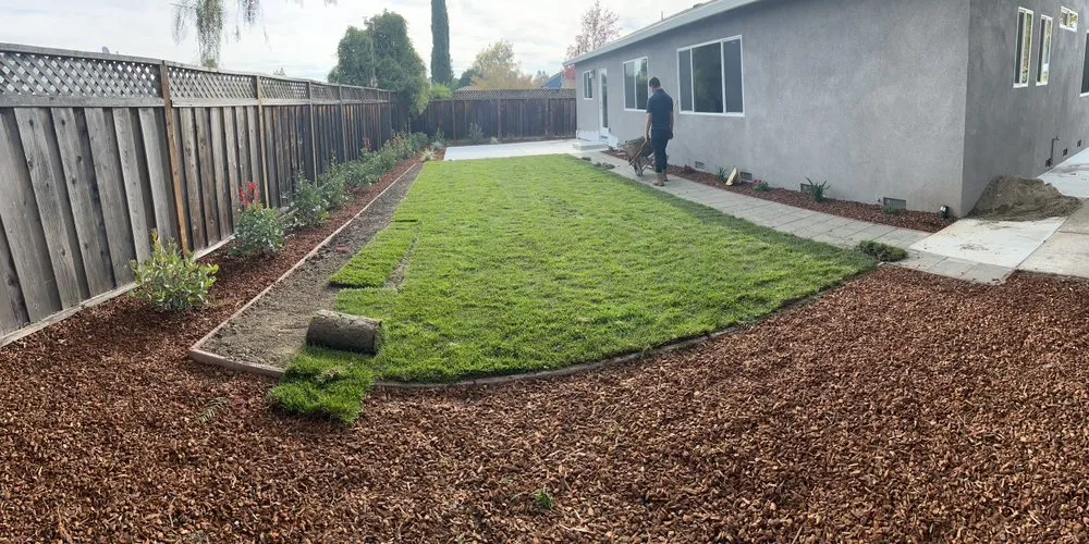 Expert lawn care service experts serving Campbell, CA - QID Garden Services