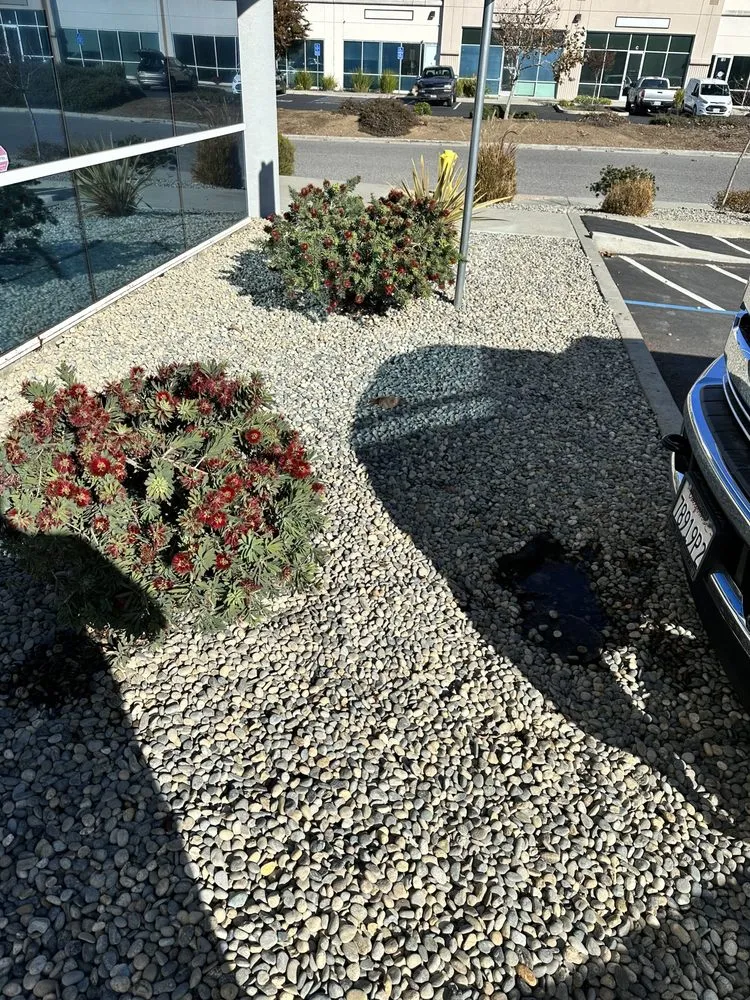 Top-rated lawn care service for year-round maintenance in Campbell, CA by QID Garden Services