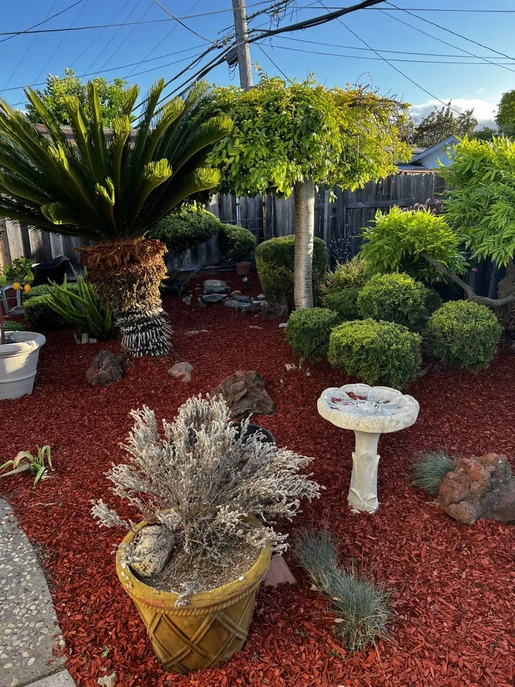 Expert landscape design in Campbell, CA - QID Garden Services