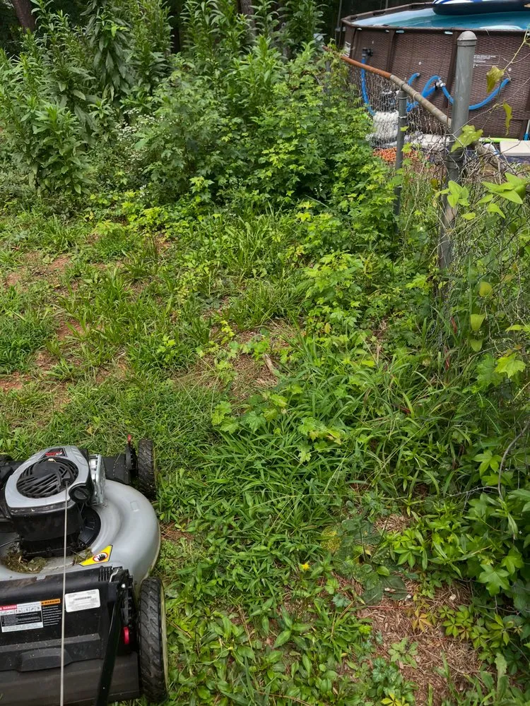 Affordable lawn care service in Jonesboro, GA by Qlawncare