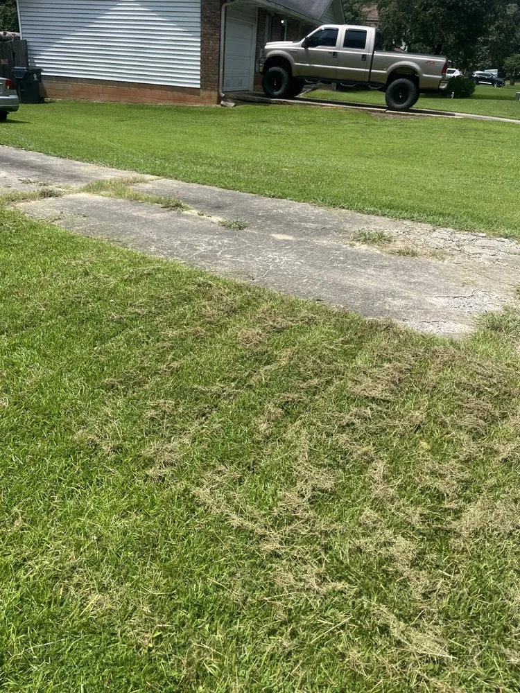 Custom landscape installation in Jonesboro, GA by Qlawncare