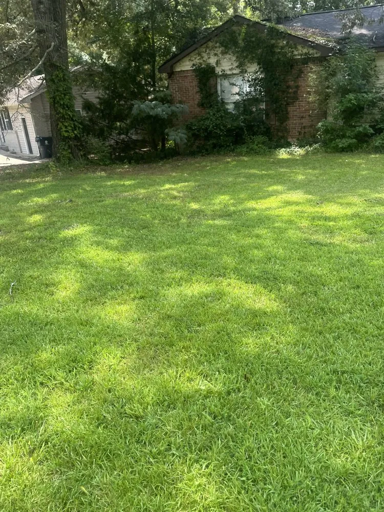 Trusted yard maintenance in Jonesboro, GA - Qlawncare