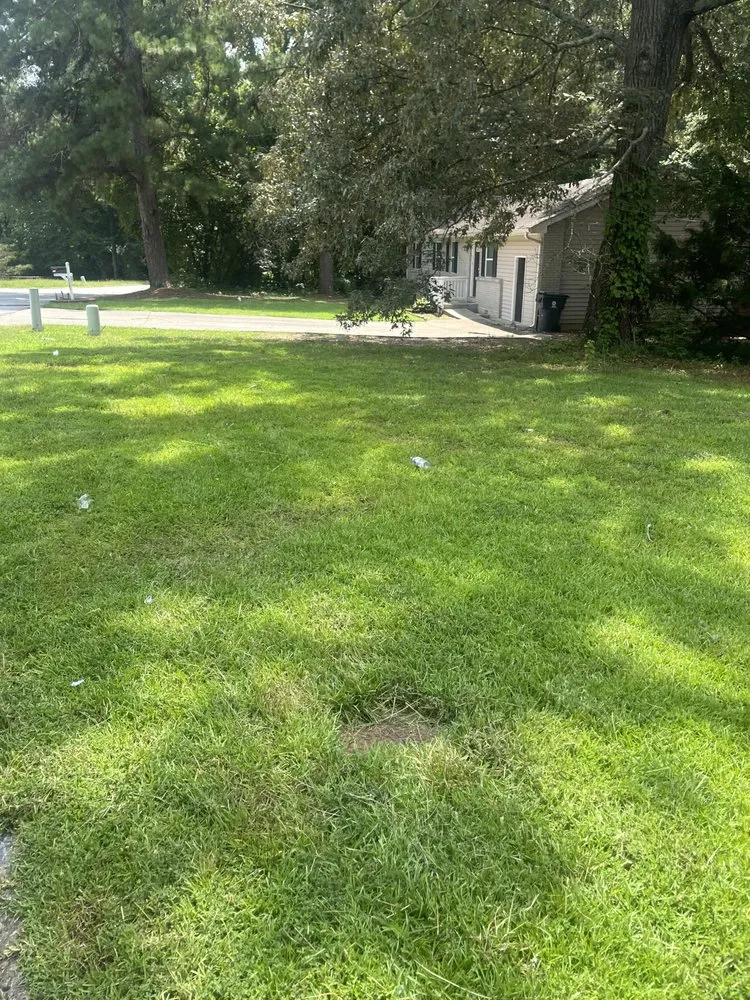 Affordable outdoor landscaping for homes across Jonesboro, GA - Qlawncare