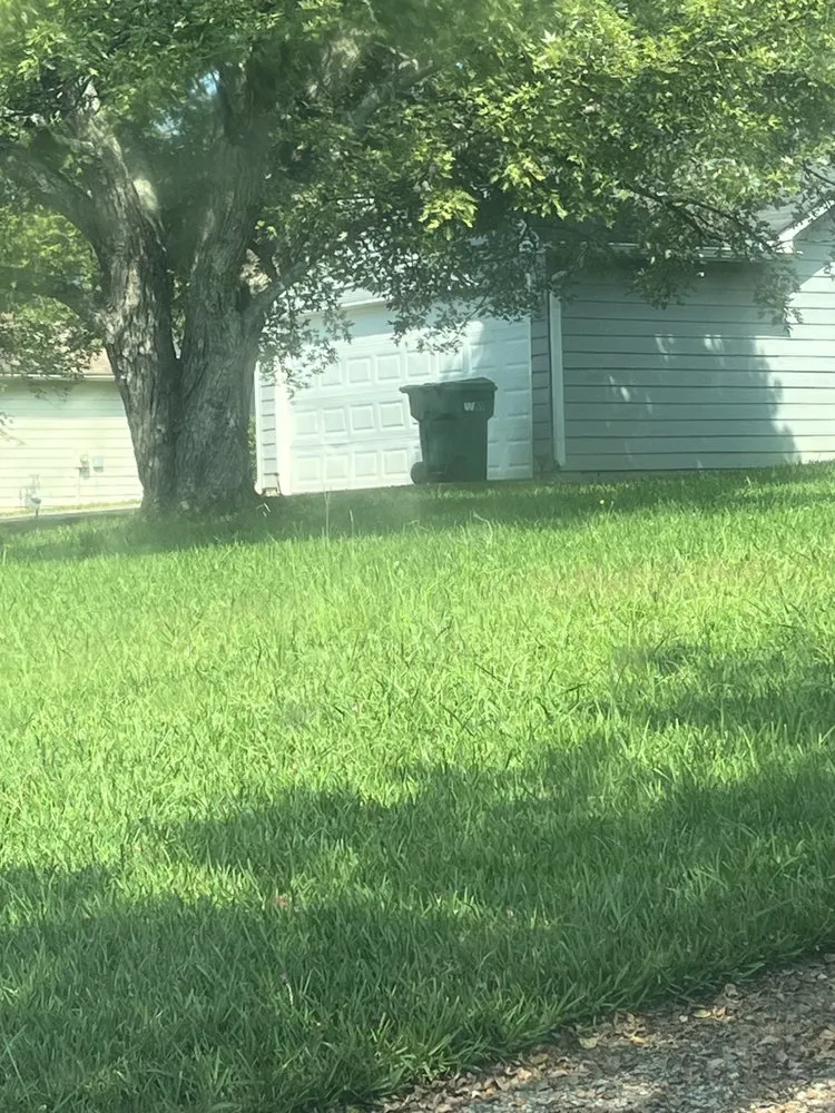 Local landscape installation for year-round maintenance in Jonesboro, GA by Qlawncare