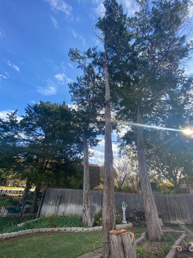 Trusted lawn care service with custom design across Lewisville, TX - Qleaves Landscape