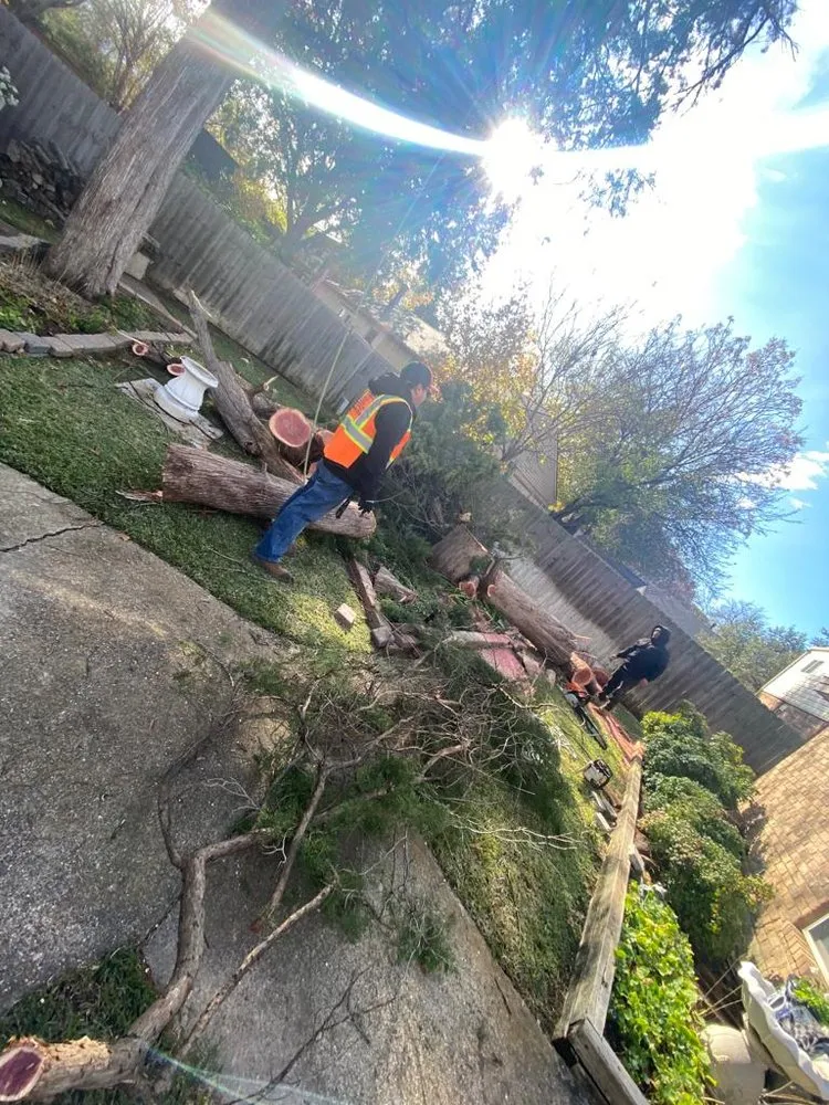 Affordable yard cleanup service in Lewisville, TX by Qleaves Landscape