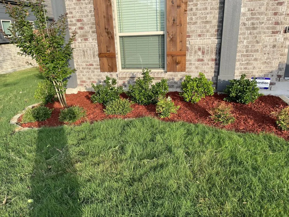 Top-rated yard maintenance experts serving Lewisville, TX - Qleaves Landscape