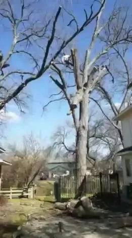 Local landscape design experts serving Lewisville, TX - Qleaves Landscape