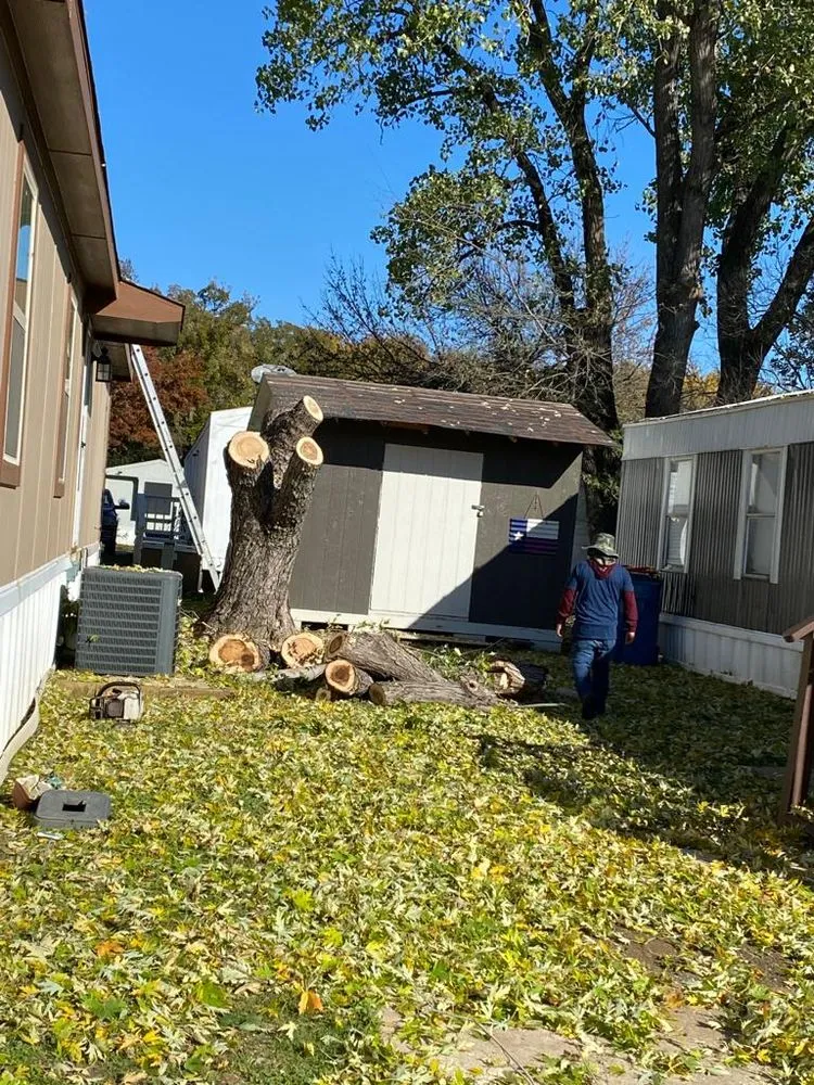 Top-rated lawn mowing service in Lewisville, TX - Qleaves Landscape