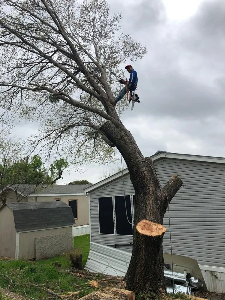 Reliable yard maintenance in Lewisville, TX by Qleaves Landscape