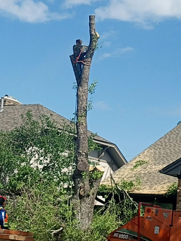 Affordable lawn mowing service near you across Lewisville, TX - Qleaves Landscape