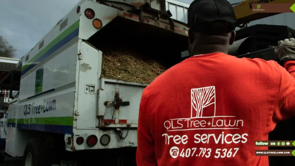 Local outdoor landscaping in Orlando, FL by QLS Lawn Care & Tree Removal
