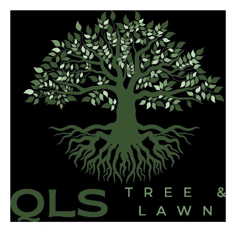 Reliable landscape installation for beautiful yards across Orlando, FL - QLS Lawn Care & Tree Removal