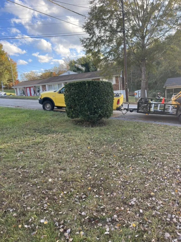 Reliable yard cleanup service for beautiful yards in Danville, VA by Q&M Lawn Care