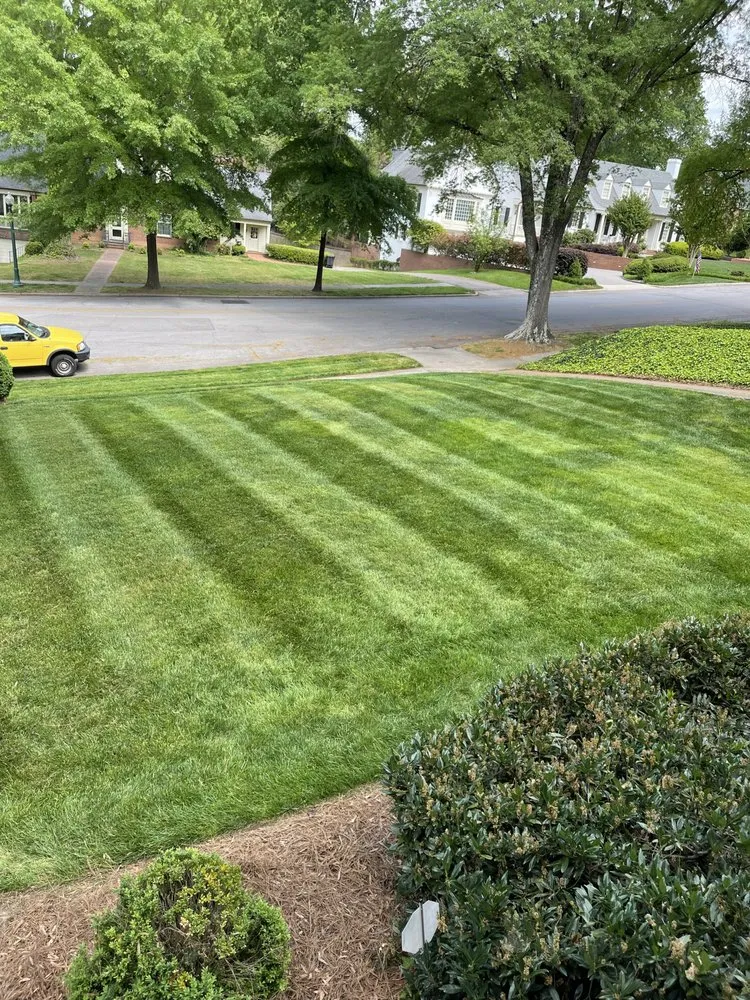 Reliable yard maintenance in Danville, VA - Q&M Lawn Care